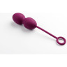 Вагинальные шарики со смещенным центром тяжести SVAKOM NOVA SSYB-VLT